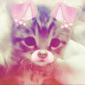 Meet your Posher, Khloe